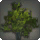 Shroud Broadleaf