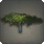 Desert Ironwood