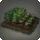 Vegetable Garden