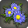 Blue Daisy Corsage