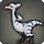 Baby Raptor